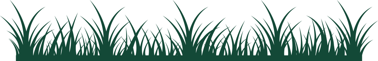 I nostri ulivi grazie al sole Siciliano e alla grande fertilità dei terreni aziendali, vegetano forti, sane e vigorose e sono in grado di offrire un olio di eccellente qualità. 